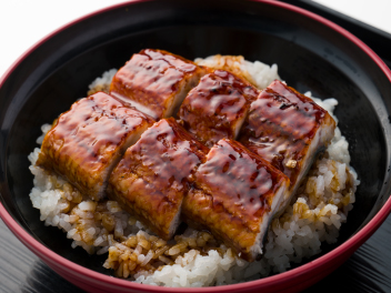 魚力のうなぎ丼